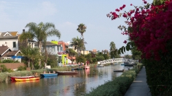 (2017-07-15-099) USA - Los Angeles - Venice Canals